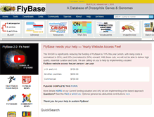 Tablet Screenshot of flybase.org